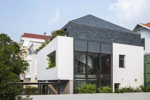 Modern Box House Design: Incorporating Lush Greenery as Living Decorative Patterns - image 3