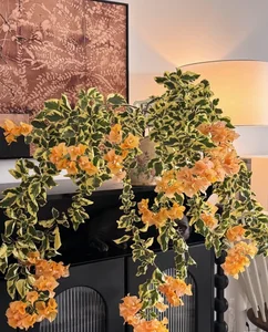 4 Golden-Leafed Plants to Attract Wealth and Prosperity to Your Home - image 3