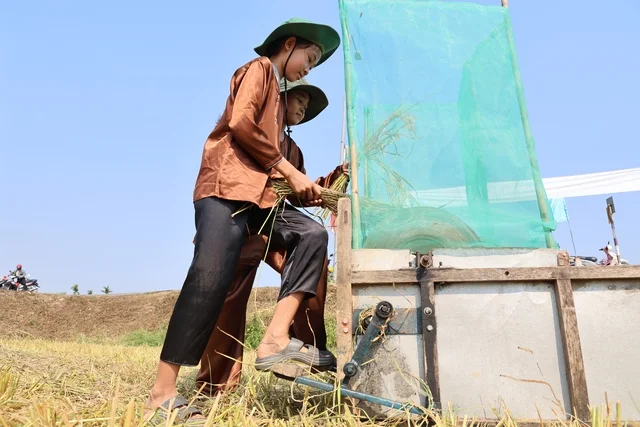 Discovering the Cultural Heritage and Traditional Festivals of Quang Ngai Province, Vietnam