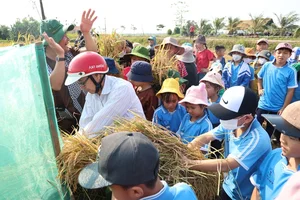 Discovering the Cultural Heritage and Traditional Festivals of Quang Ngai Province, Vietnam - image 1