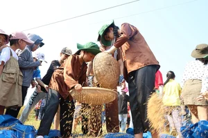 Discovering the Cultural Heritage and Traditional Festivals of Quang Ngai Province, Vietnam - image 8