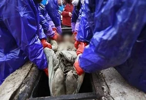 The Mystery of the 700-Year-Old Mummy: A Perfectly Preserved Discovery - image 7