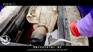 The Mystery of the 700-Year-Old Mummy: A Perfectly Preserved Discovery - image 0