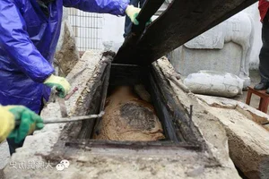 The Mystery of the 700-Year-Old Mummy: A Perfectly Preserved Discovery - image 4