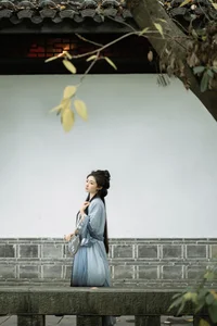 Serene Beauty: Shui Wei Qing Che in Art Language Vol.7251 - image 13