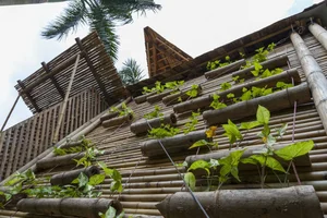 Innovative Flood-Proof Bamboo Architecture: A Sustainable Solution from Vietnam - image 4