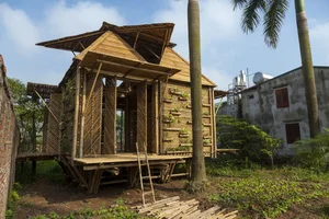 Innovative Flood-Proof Bamboo Architecture: A Sustainable Solution from Vietnam - image 1