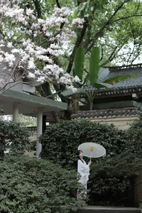 Artistic Expressions in YiTuYu Art Language Vol.6390 with Yang Xi - image 26
