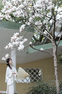 Artistic Expressions in YiTuYu Art Language Vol.6390 with Yang Xi - image 14