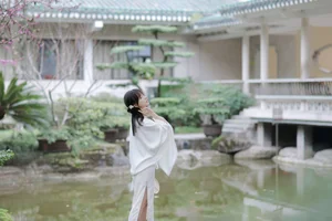 Artistic Expressions in YiTuYu Art Language Vol.6390 with Yang Xi - image 2