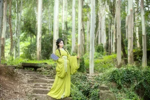 Artistic Expressions: Miao Su Su in YiTuYu Art Language Vol.7320 - image 29