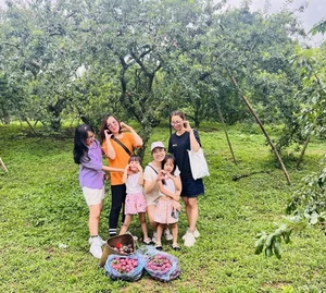 Best Summer Family Vacation Destinations for the June School Holidays - image 6