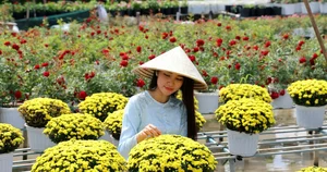 Experience the Soul of the Highlands: The Enchanting 'Đại ngàn reo' Art Performance - image 7