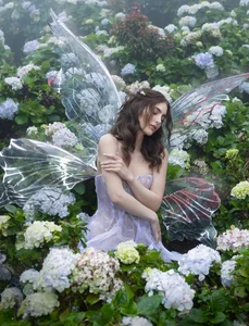 Miss Universe Venezuela 2025: A Mystical Forest Fairy Photoshoot Concept - image 3