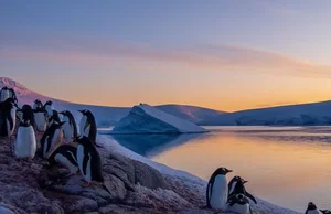 Life at the Edge: Working in a Museum at the South Pole - image 7