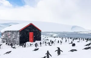 Life at the Edge: Working in a Museum at the South Pole - image 4