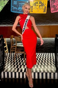 The Doll-Like Beauty of the New Miss Universe: A Visual Tribute - image 8