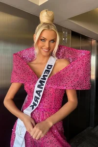 The Doll-Like Beauty of the New Miss Universe: A Visual Tribute - image 3