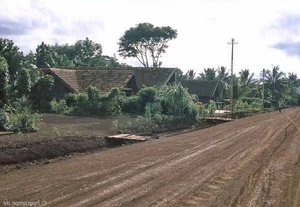 A Journey Back in Time: Exploring the Unique Ede Indigenous Culture in Buon Ma Thuot Circa 1992 - image 5