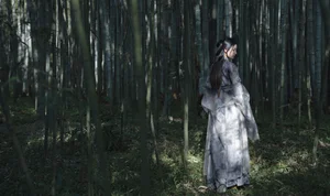 Exploring Visual Narratives in YiTuYu Art Language Vol.7174 with Zang Yi Tong - image 23