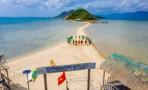 Diep Son Island: Walking Across the Sea on Vietnam’s Most Famous Sand Bridge - image 9