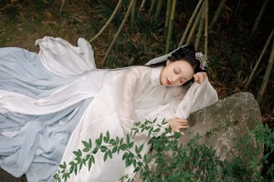 Art Language Vol.4782 Ling Zi Xi - A Masterpiece of Visual Expression - image 13