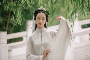 Art Language Vol.4782 Ling Zi Xi - A Masterpiece of Visual Expression - image 8