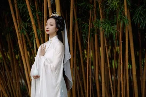 Art Language Vol.4782 Ling Zi Xi - A Masterpiece of Visual Expression - image 6