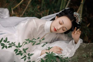 Art Language Vol.4782 Ling Zi Xi - A Masterpiece of Visual Expression - image 0