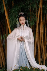 Art Language Vol.4782 Ling Zi Xi - A Masterpiece of Visual Expression - image 19