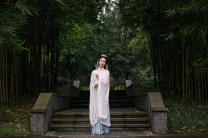 Art Language Vol.4782 Ling Zi Xi - A Masterpiece of Visual Expression - image 2