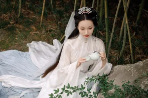 Art Language Vol.4782 Ling Zi Xi - A Masterpiece of Visual Expression - image 18