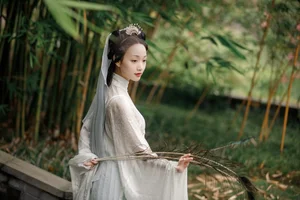 Art Language Vol.4782 Ling Zi Xi - A Masterpiece of Visual Expression - image 10