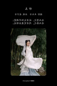 Art Language Vol.4782 Ling Zi Xi - A Masterpiece of Visual Expression - image 9