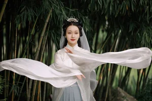 Art Language Vol.4782 Ling Zi Xi - A Masterpiece of Visual Expression - image 7