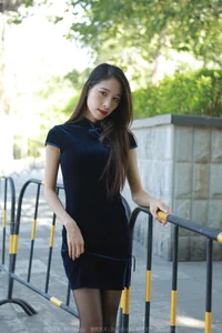 Traditional Elegance Meets Modern Style: Mei Zi in Black Silk Cheongsam - image 23