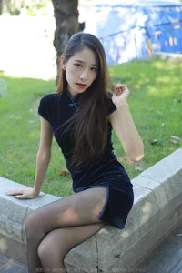 Traditional Elegance Meets Modern Style: Mei Zi in Black Silk Cheongsam - image 27
