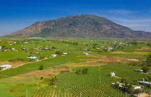 The Ultimate Binh Thuan Travel Guide 2024: Top 8 Must-Visit Destinations - image 7
