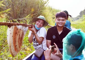 48 Hours in Ca Mau: The Ultimate Travel Guide to Vietnam's Southern Tip - image 0