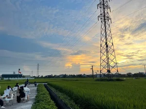 Escape to Nature: The Unique Rice Field Cafe in Thai Binh - image 6