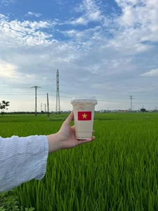 Escape to Nature: The Unique Rice Field Cafe in Thai Binh - image 2