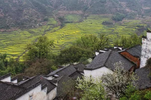 Experience the Breathtaking Beauty of Ta Van Village in Sa Pa, Vietnam: A Must-Visit Destination and One of Asia’s Most Beautiful Hidden Gems - image 2