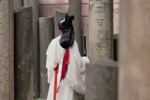Yan Ru Yu's Timeless Hanfu Elegance: Discover YiTuYu Art Language Vol.8693 - image 6