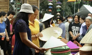 A Journey Through Time: Discovering the South Thang Long Heritage Road - image 7