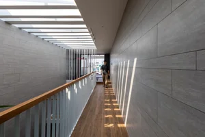 30+ Creative Skylight Designs for Modern Tube Houses: Enhancing Natural Light and Ventilation - image 3