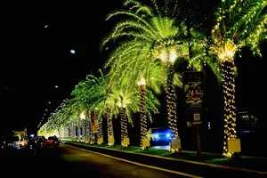 Vinhomes Grand Park at Night: A Shimmering Urban Oasis in Ho Chi Minh City - image 2