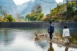 Cao Bang Serene New Year Retreat Discover Majestic Waterfalls with Your Loved One - image 6