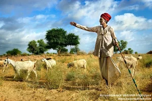 The Remarkable Culture of the Raika Camel Herders in India’s Thar Desert - image 3