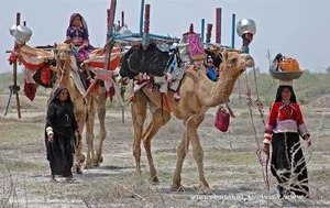 The Remarkable Culture of the Raika Camel Herders in India’s Thar Desert - image 1