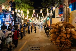 Nostalgic Journey to Ngu Xa: Reliving Old Hanoi's Subsidy Era - image 9